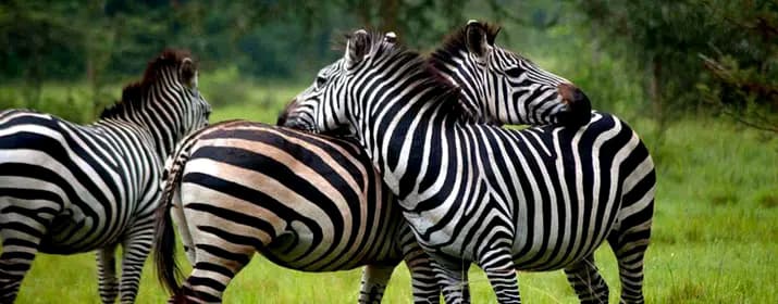 Lake Mburo National Park