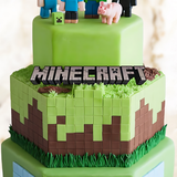 Stunning Minecraft Cake for Gaming Champions