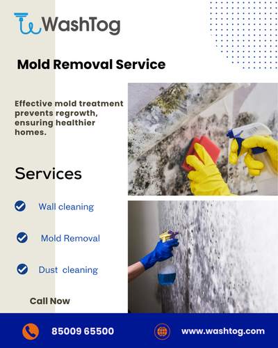 Mold is more than an eyesore—it’s a health hazard..png