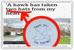 IMG 9679.png