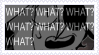 IMG 9677.png
