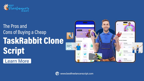 The Pros and Cons of Buying a Cheap TaskRabbit Clone Script.jpg