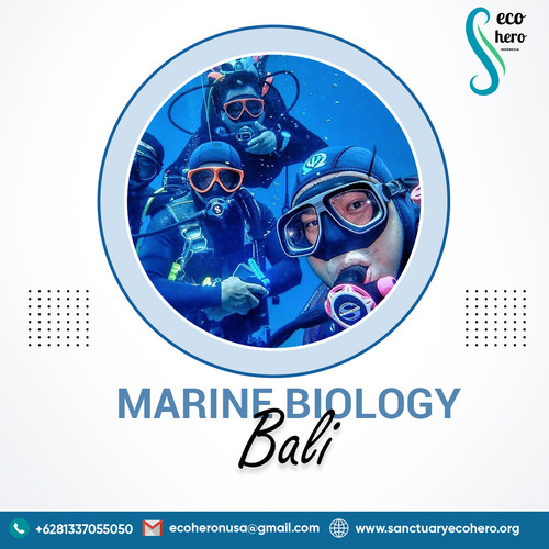 Marine biology bali.jpg