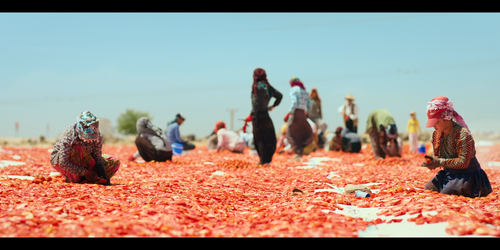 Hemme'nin Öldüğü Günlerden Biri One of Those Days When Hemme Dies 2024 Yerli Sansürsüz 1080p MUBI WE.png