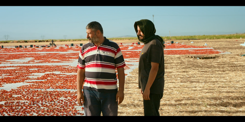 Hemme'nin Öldüğü Günlerden Biri One of Those Days When Hemme Dies 2024 Yerli Sansürsüz 1080p MUBI WE.png