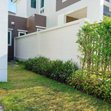 WhatsApp Image 2025 06 14 at 03.35.21