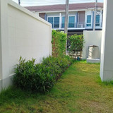 WhatsApp Image 2025 06 14 at 03.35.20 (1)