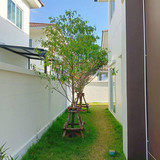 WhatsApp Image 2025 06 14 at 03.35.28