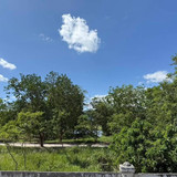 WhatsApp Image 2025 06 14 at 03.33.18 (1)