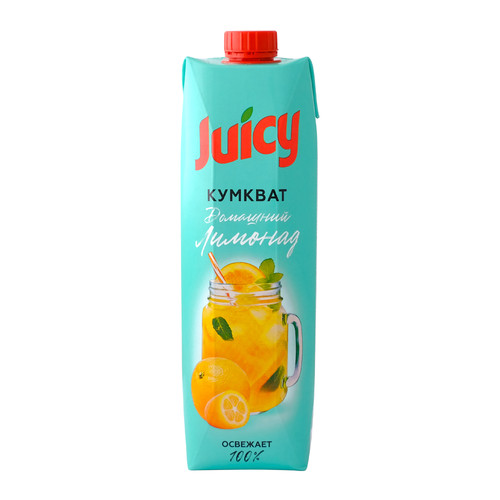4870234821995 НАПИТОК JUICY ЛИМОНАД ДОМАШНИЙ КУМКВАТ C C 0,95 Л Т ПАК.jpg