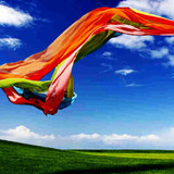 Aloe Vera Health Lifestyle