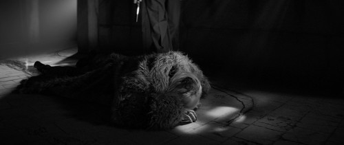 Pan.T..2019.1080p.BluRay.PL.DD+5.1.x264 EA.mkv snapshot 01.36.14 [2025.08.02 07.29.08].jpg