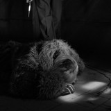 Pan.T..2019.1080p.BluRay.PL.DD+5.1.x264 EA.mkv snapshot 01.36.14 [2025.08.02 07.29.08]