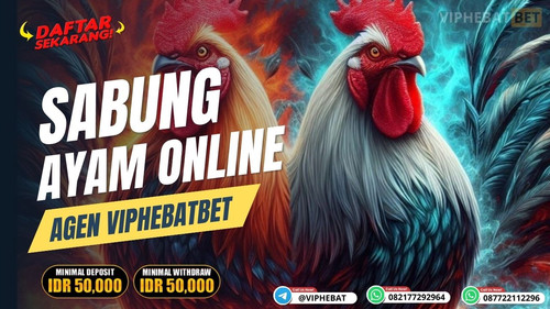 AYAM CUKI (1).jpg