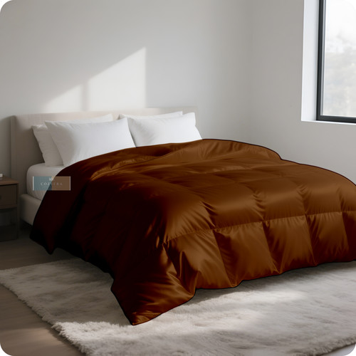 Brown (2).jpg