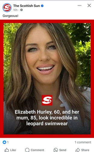 Liz Hurley IMG 5088.jpg
