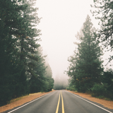 Untitled design (17)