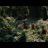 Snímka obrazovky 2025 08 02 063035