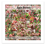 Apple Blossom 1