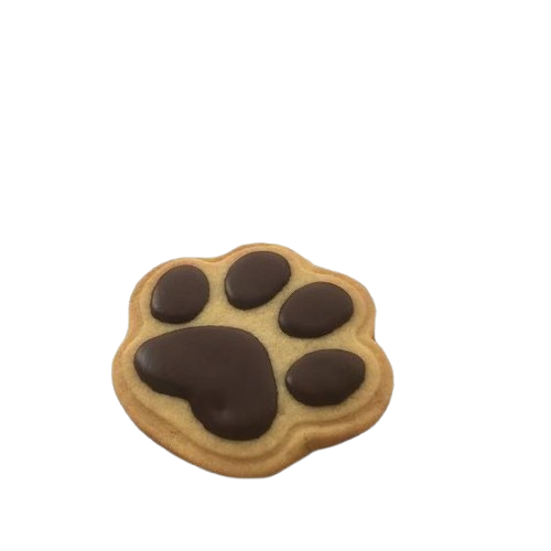 64e3a797a693fd5ee87358da21e6ab22 removebg preview.png