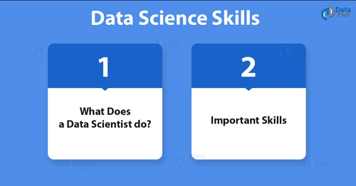Data Science Skills 01.jpg