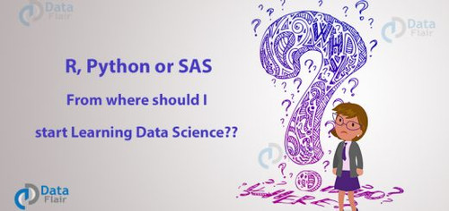 R Python or SAS 520x245.jpg