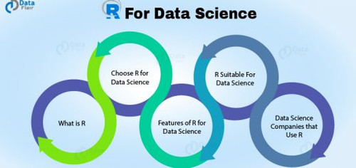 Use of R for Data Science 520x245.jpg