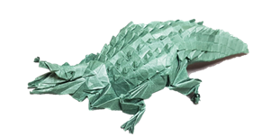 croco.png