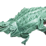croco