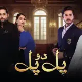 t328 pal do pal card