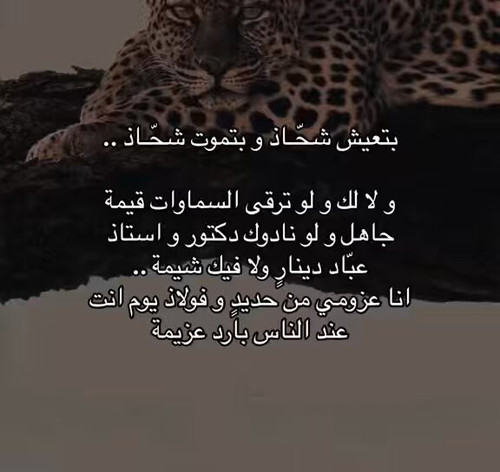 Zaa39pPfY RUqQa1.jpg