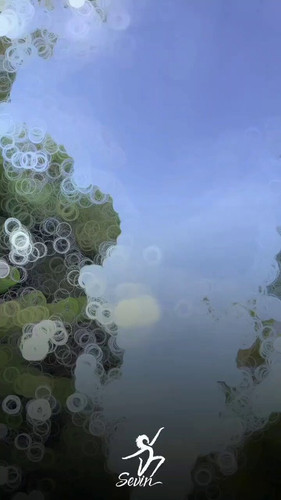 kCB1prwp wq4tSh9.jpg