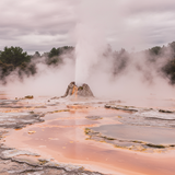 prompt image 3 768x1024