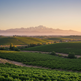 prompt image 2 1024x768