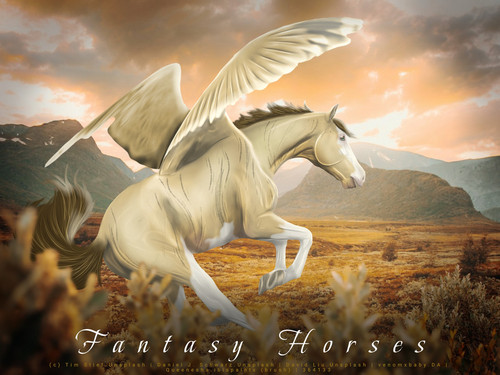 FantasyHorses bio (Cloudy).jpg