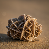 prompt image 6 1152x1152