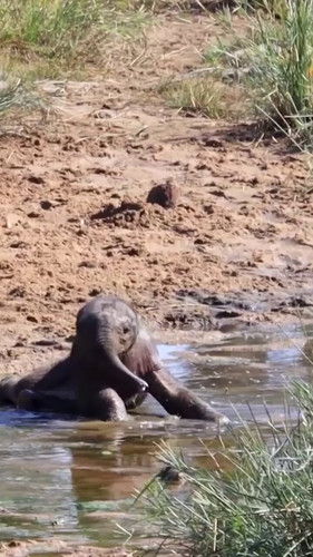 vxa3 qUH3XA ndR5.jpg