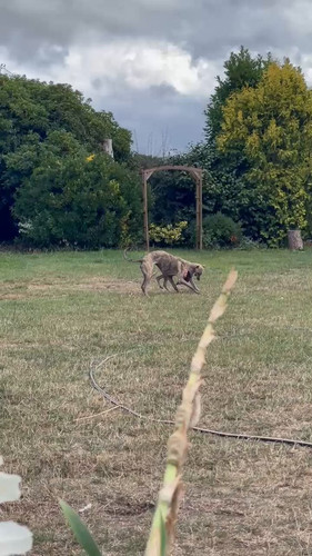 DRZoZIzX DQgXEag.jpg