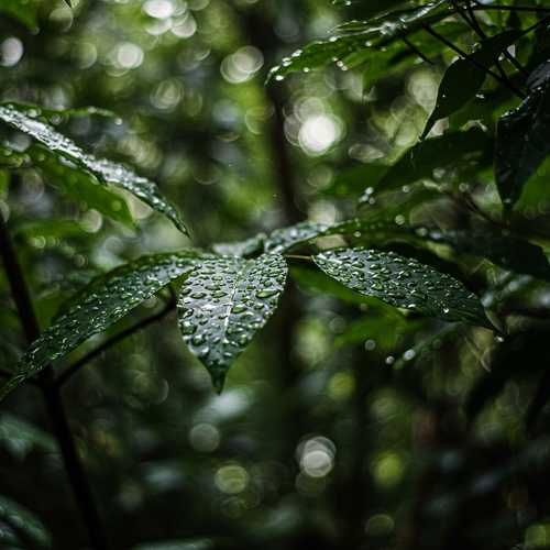 prompt image 4 896x1152.png