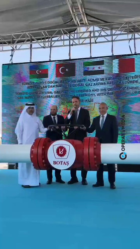 ZK 8GCQ oPkxpHdl.jpg