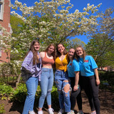 8d3b447f2dc2763322971b0628ca3018