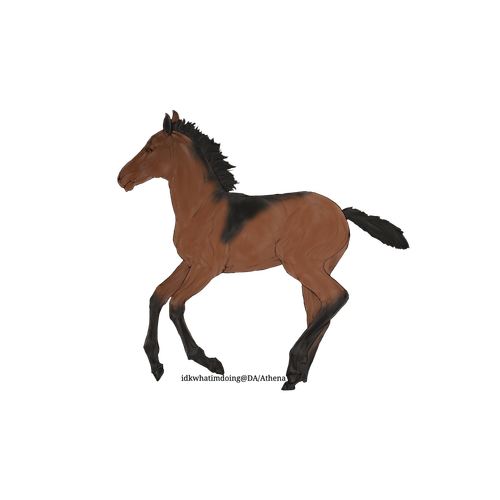 Fs3YzQ9.md.png