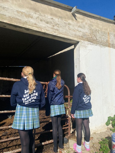 c0417ed5e4e6b9443f4f8e87cd6851ad