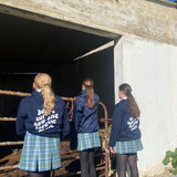 c0417ed5e4e6b9443f4f8e87cd6851ad