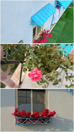 QhvNNG VH4h4SRds.jpg