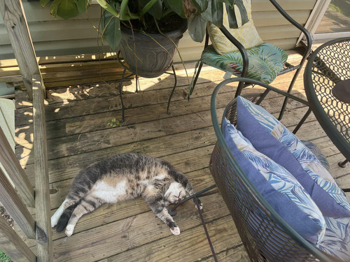 526994340 24296665739930274 3026293146459238883 n.jpg