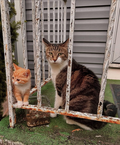 528752569 122130550994859660 5809884485666733355 n.jpg