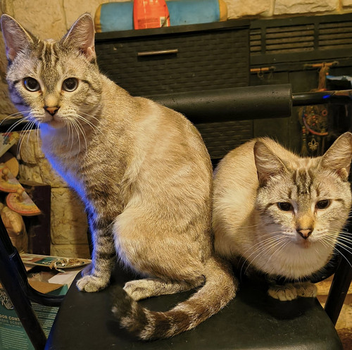 529020227 10166095405573916 2501320091206000 n.jpg