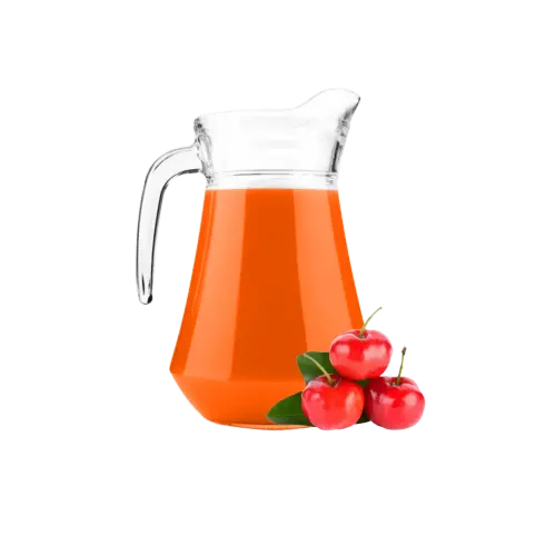 SUCO ACEROLA 1L.webp