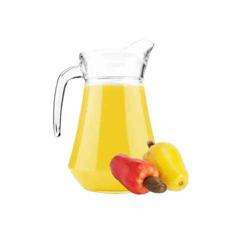 SUCO DE CAJU 1L.webp